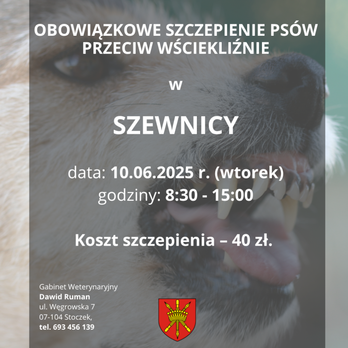 Kopia – szczepienie psów Szewnica