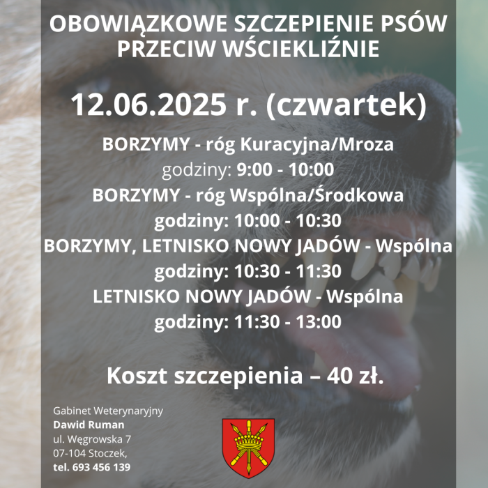 szczepienie psów Borzymy, Letnisko
