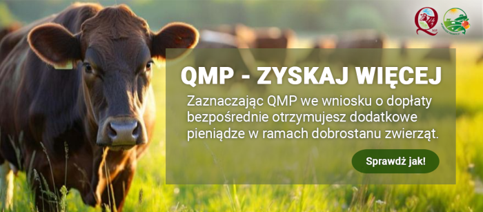 1140x500 px