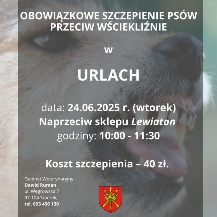 szczepienie psów Urle