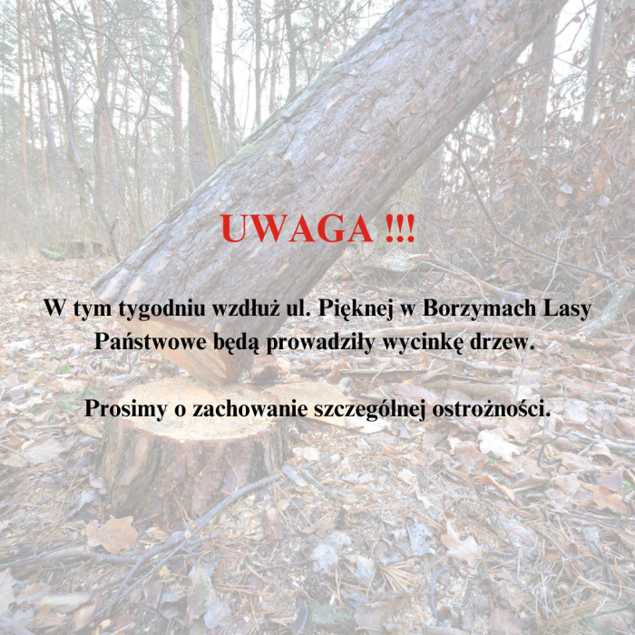 wycinka drzew Borzymy