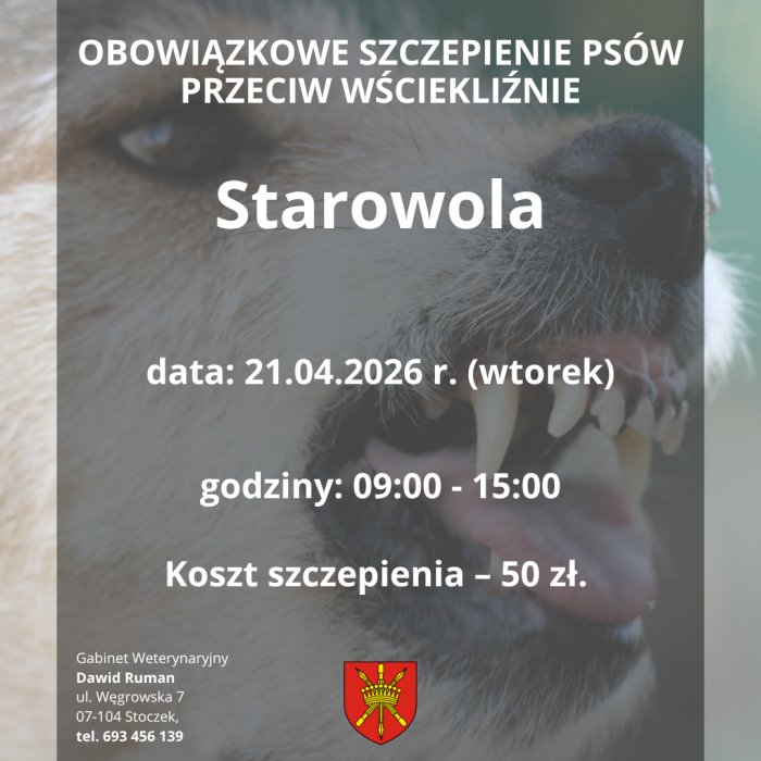 szczepienie psów starowola