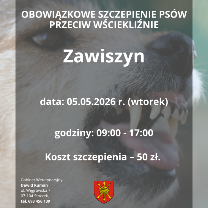 szczepienie psów Zawiszyn(1)
