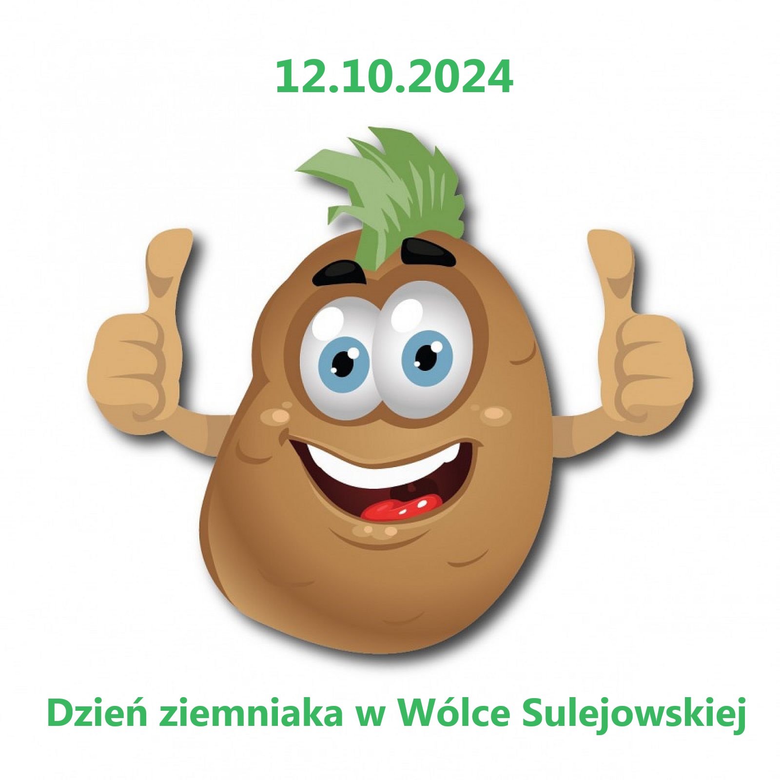 Świeto ziemniaka