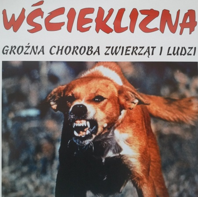 Szczepienia psów i kotów
